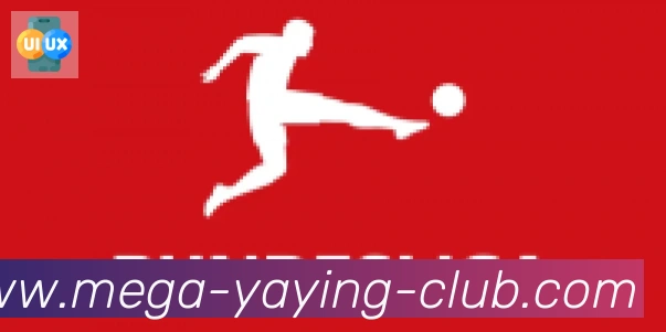 亚盈体育官网合作伙伴